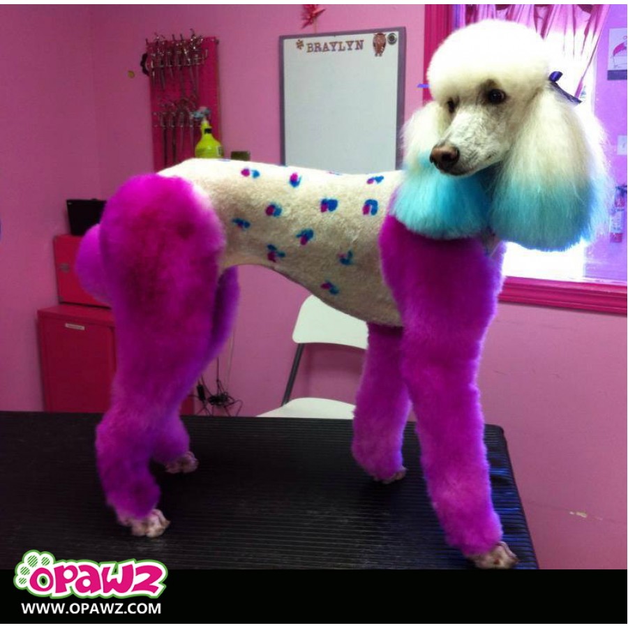 Permanent Pet Hair Dye - Adorable Pink | 150g
