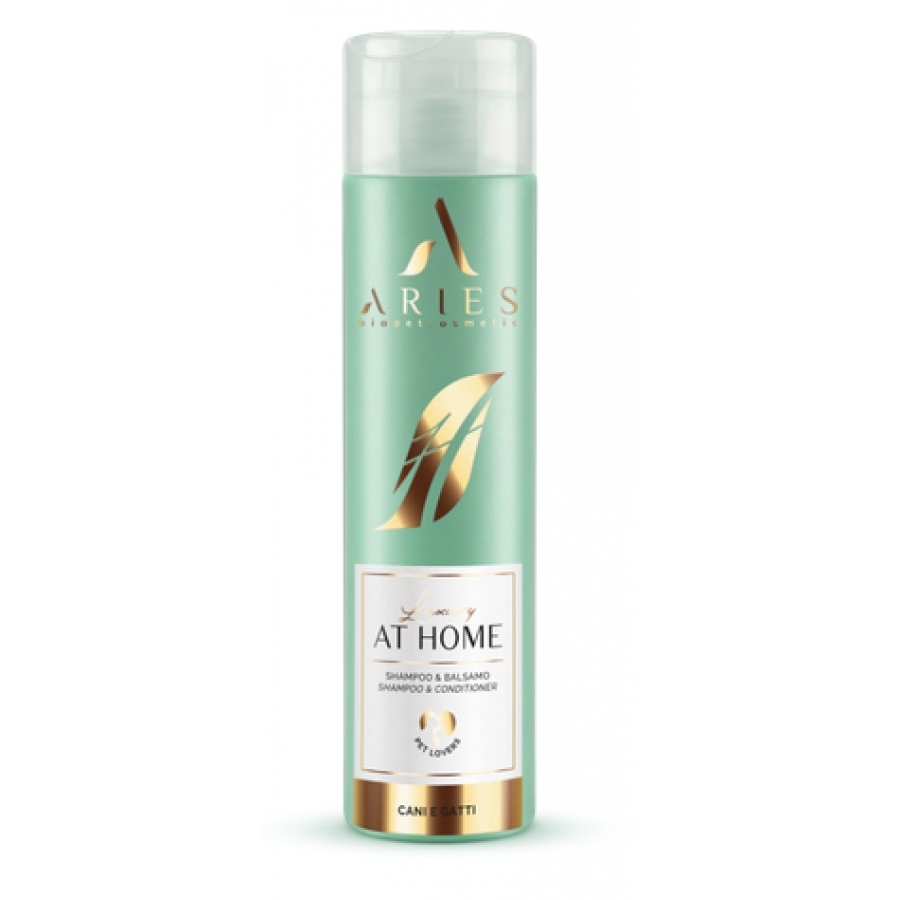 Shampoo & Conditioner | 250ml
