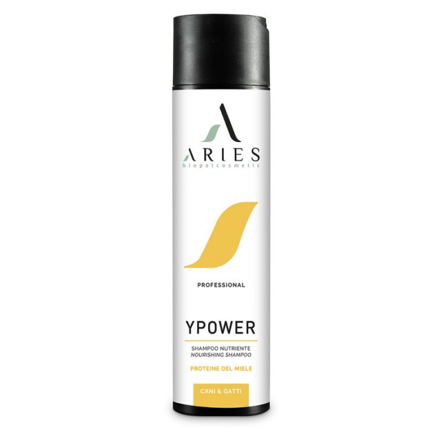 Ypower Shampoo | 250ml