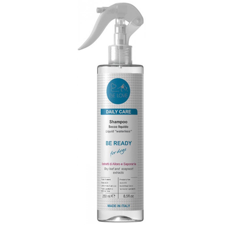 Be Ready Dry Shampoo | 250ml