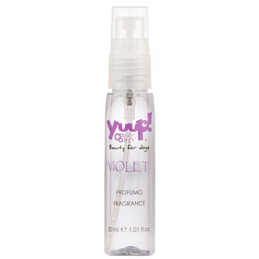 Color Your Style Violet Fragrance | 30ml