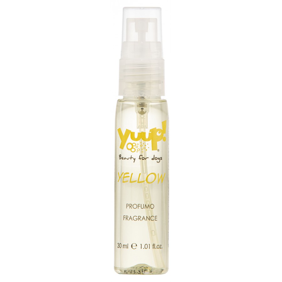 Color Your Style | Yellow Fragrance | 30ml