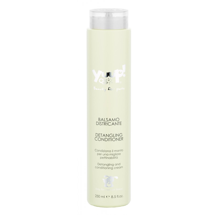 Detangling Conditioner | 250ml