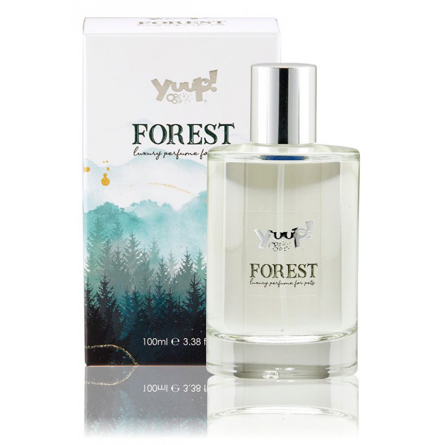 Forest | 100ml