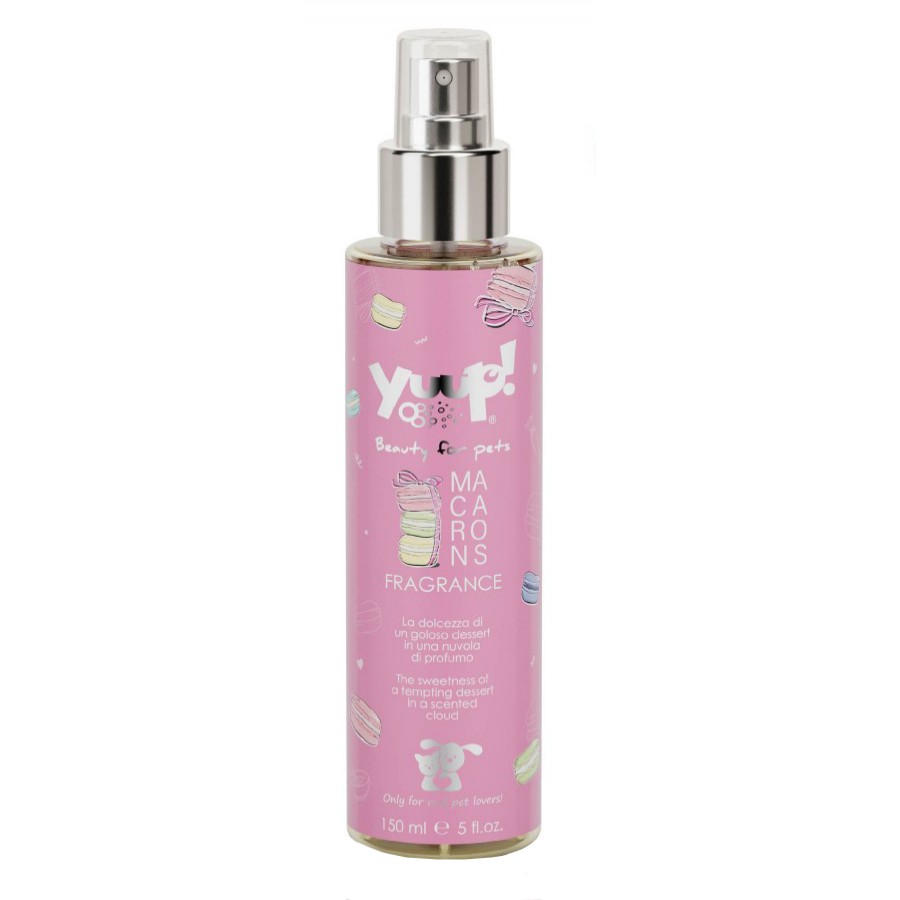 Macarons Fragrance | 150ml Macarons Fragrance | 150ml