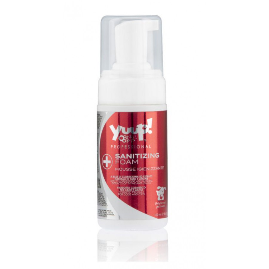 Sanitizing Foam | 100ml Sanitizing Foam | 100ml