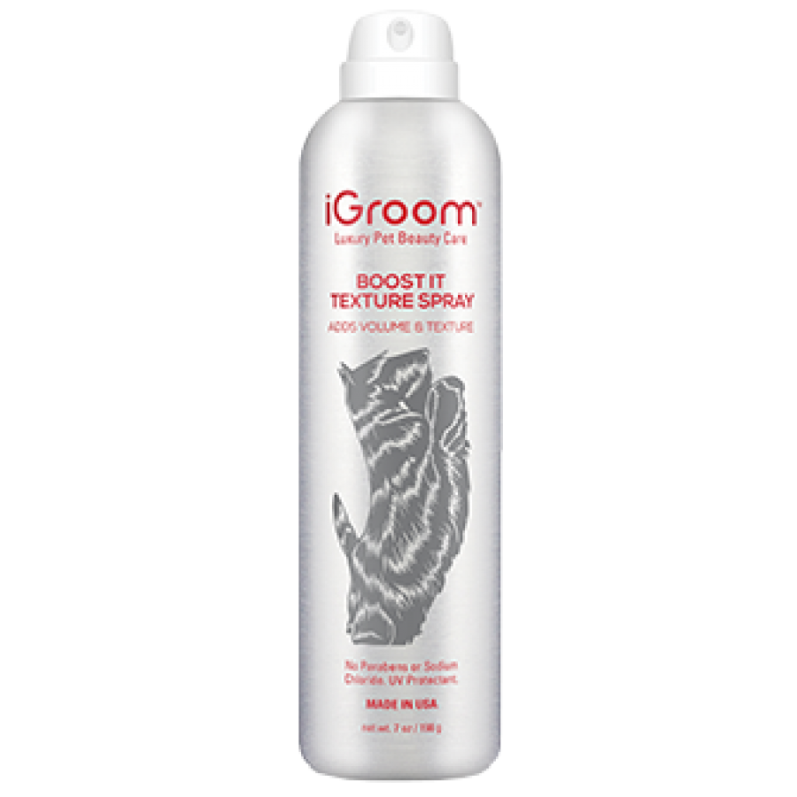 Boost It Texture Spray | 200ml