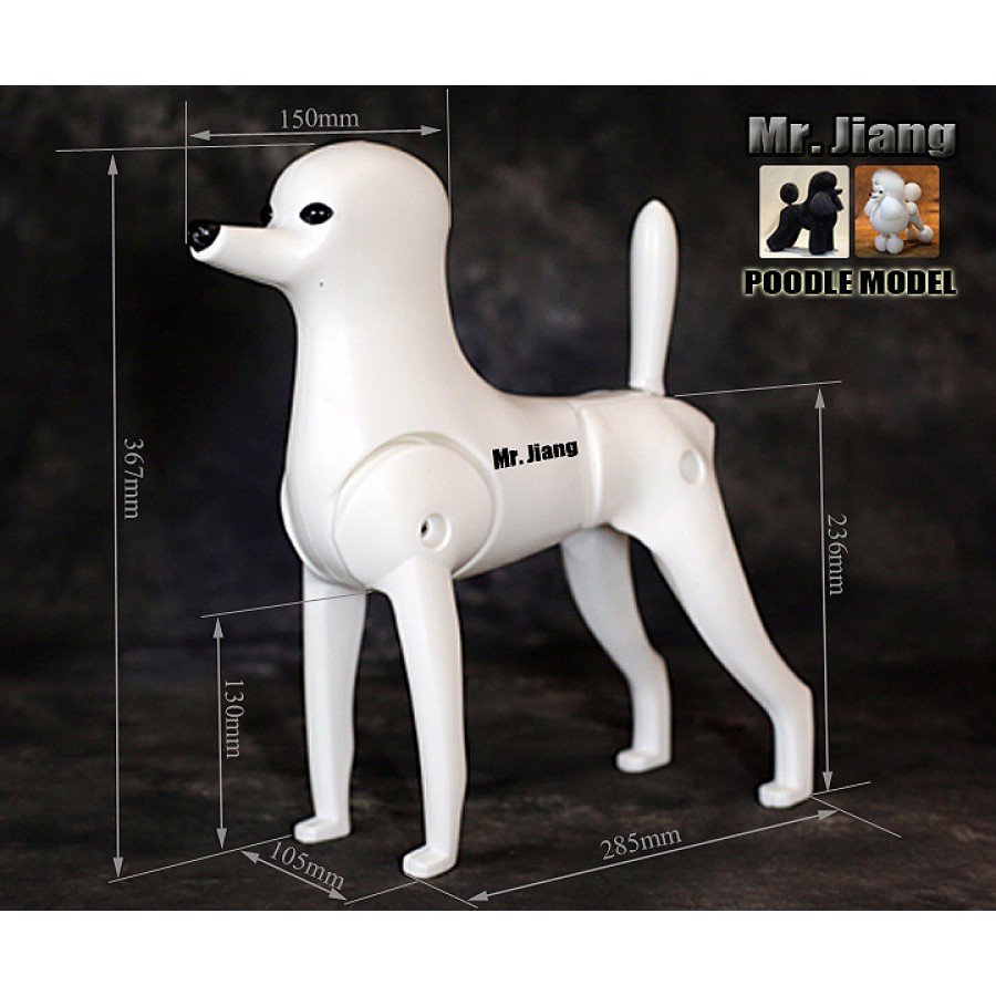 Poodle Model Dog (Szőr nélkül)