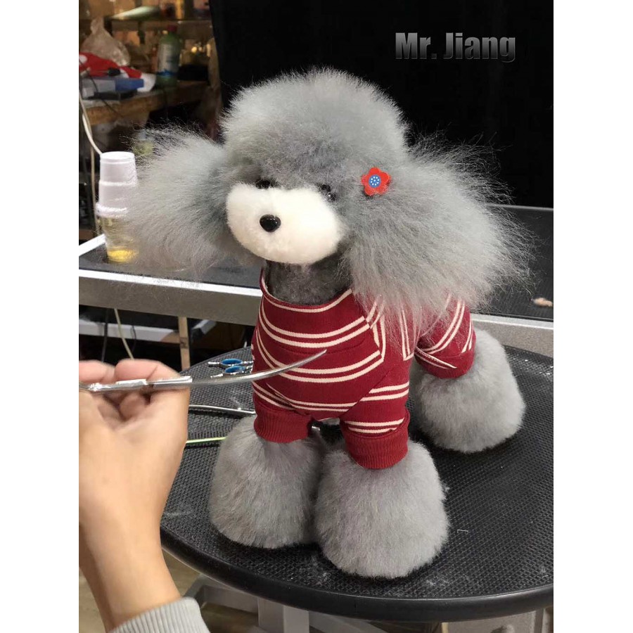 Teddy Model Dog | Whole Body Dog Wig - Gray Teddy Model Dog | Whole Body Dog Wig - Gray