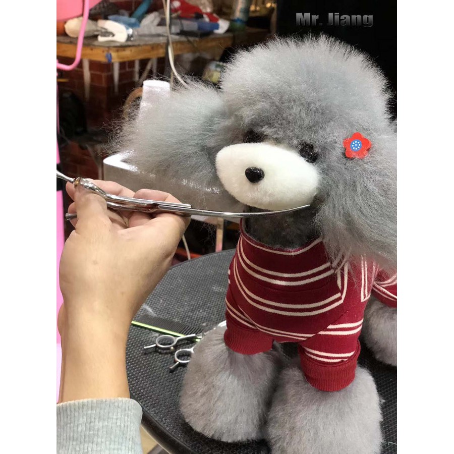 Teddy Model Dog | Whole Body Dog Wig - Gray Teddy Model Dog | Whole Body Dog Wig - Gray
