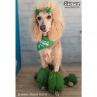 Permanent Pet Hair Dye - Forest Green| 117g